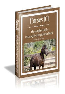 Horses 101: The Complete Guide to Buying and Caring for Your Horse