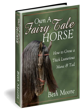 Own a Fairy Tale Horse