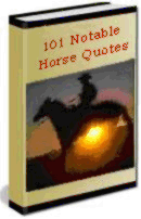 101 Notable Horse Quotes, Horse Information