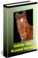 Horse Safety, Horse Information
