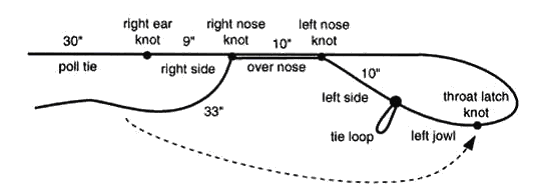 Rope halter construction diagram