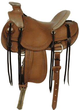 horse saddle fit, proper saddle fit
